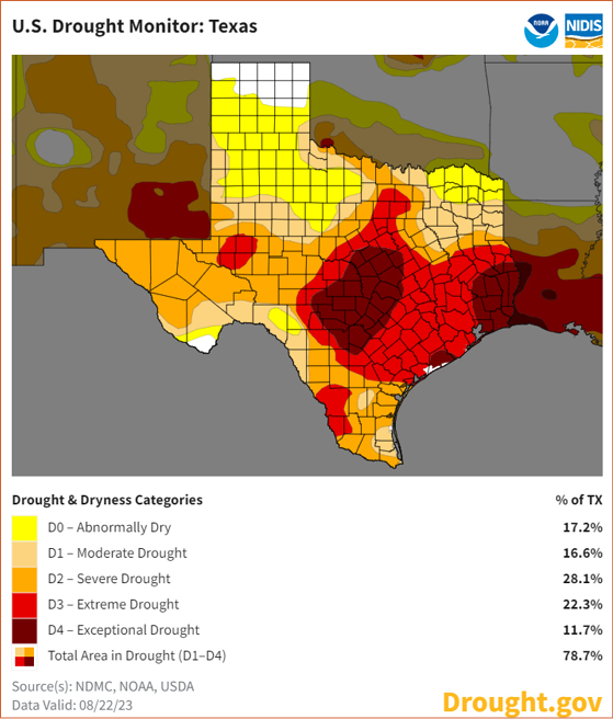 Texas Drought