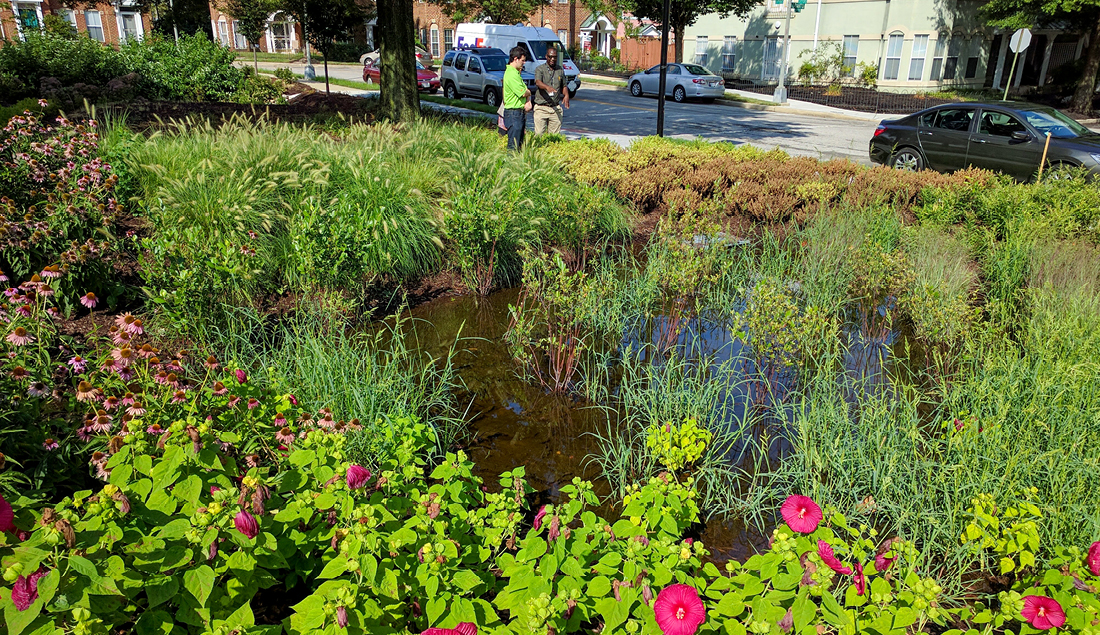 DC Green Infrastructure