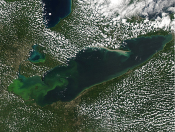 Satellite image of a huge algal bloom in Lake Erie