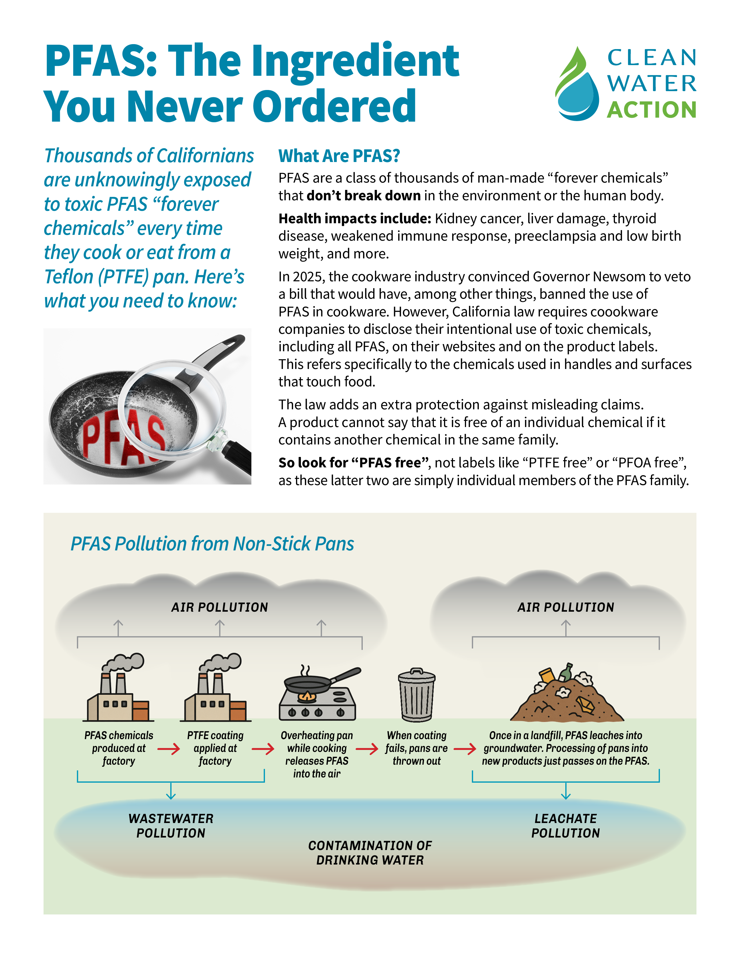 Page of the factsheet PFAS: The Ingredient You Never Ordered