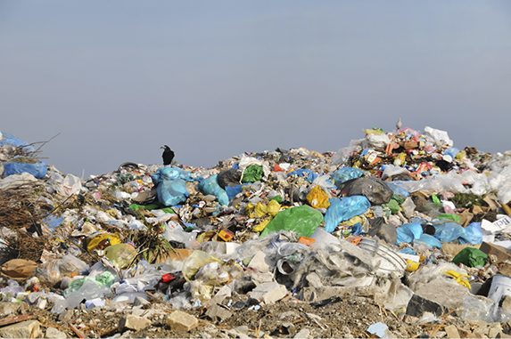 trash at a landfill