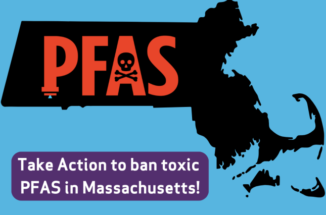 Graphic design for Clean Water Action's PFAS ban campaign