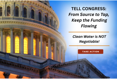 Congress Building with lights for Action to Congress