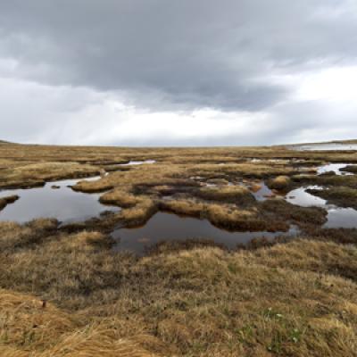 Colorado tundra. Credit - iStock Photo