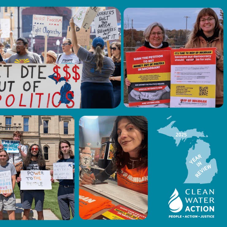 Michigan 2025 Year In Review - Michiganders For Money Out Of Politics collage 