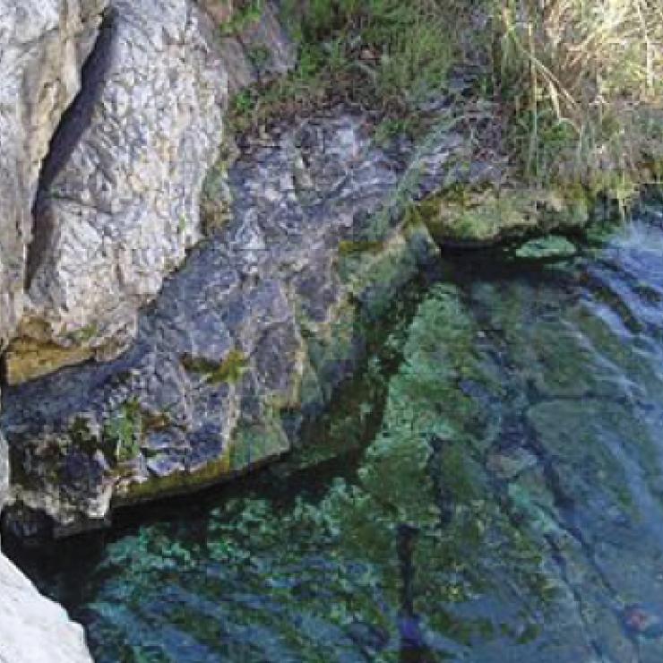 Barton Spring. photo courtesy of U.S. Geological Survey.