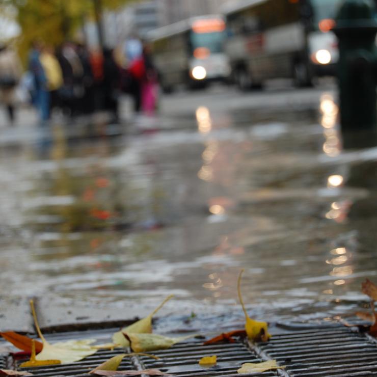 flooded sewer grate / photo: flickr.com/ghost_bear CC BY-NC-ND 2.0