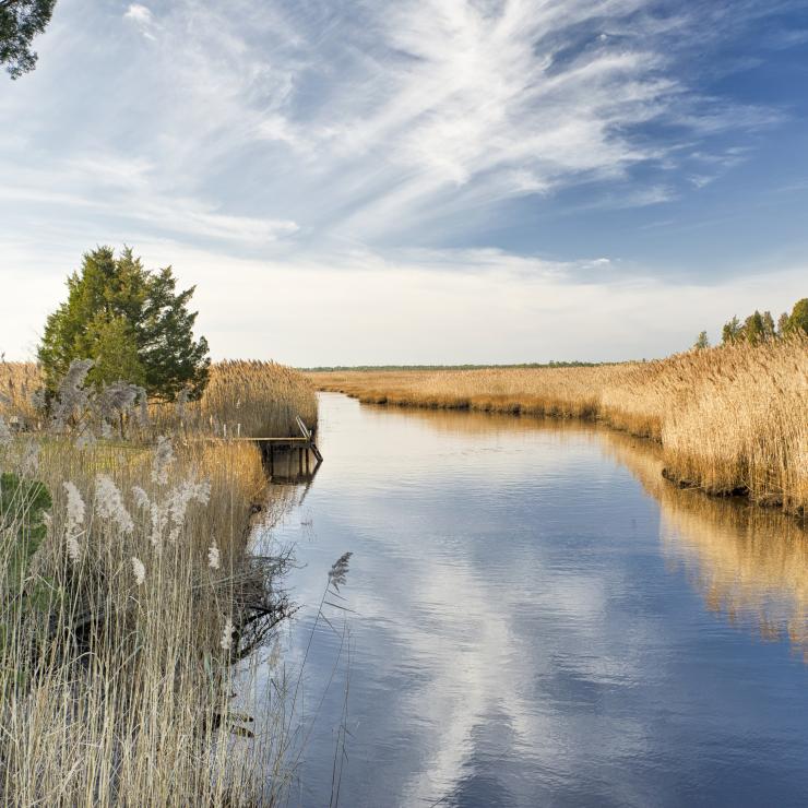 water_NJ_Pinelands_Small_Stream_Wetlands_450x299.jpg