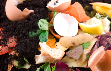 Let's Get Composting in DC