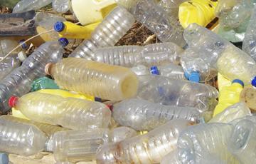 Rhode Island Bottles - Zero Waste 