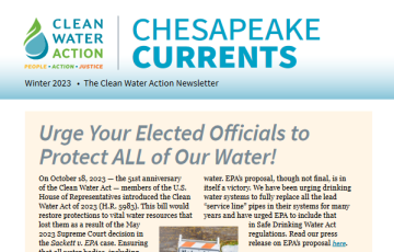 Chesapeake Currents Cover