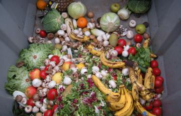 Vegetable food waste in a dumpster. Via OpenIDUser2 Wikipedia GNU Free License 