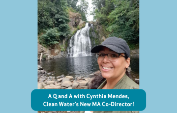 Image of MA state co-director for Clean Water Action, Cynthia Mendes in front of a pretty waterfall