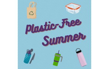 Graphic design that says Plastic Free Summer with images of Reusables