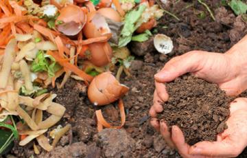 composting