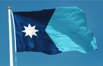 Minnesota State Flag