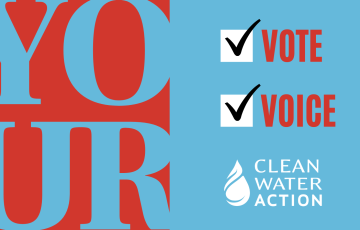 Your Vote. Your Voice.