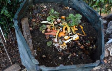 composting-container-istock-curtoicurto.jpg