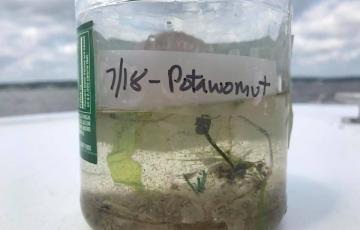 One of our samples from the trash trawl