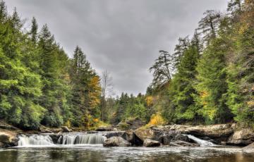 Swallow Falls - western MD