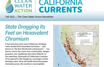 California Currents -- Fall 2021 cover