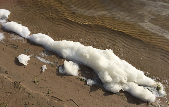Pfas Foam