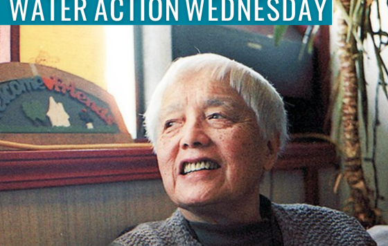 Grace Lee Boggs