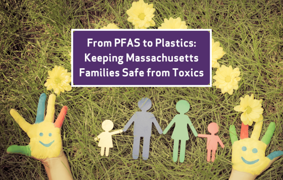Graphic design for MA's new PFAS to Plastics legislative priorities for 2024-2025