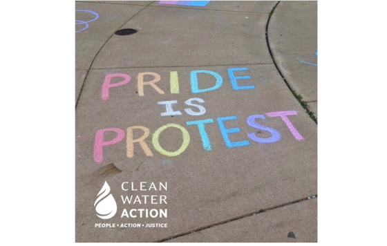 Pride is Protest Graphic 