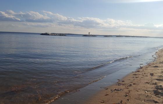 Beach on the Chesapeake Bay