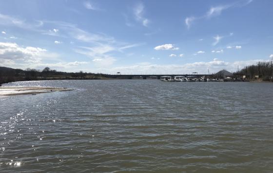 A view of the Anacostia River with Anacostia Park on the left and Seafarer's Yacht Club on the right