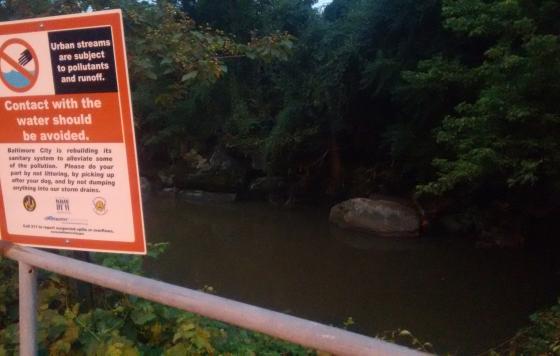 Sewage Overflow in Baltimore. Photo by Jennifer Kunze
