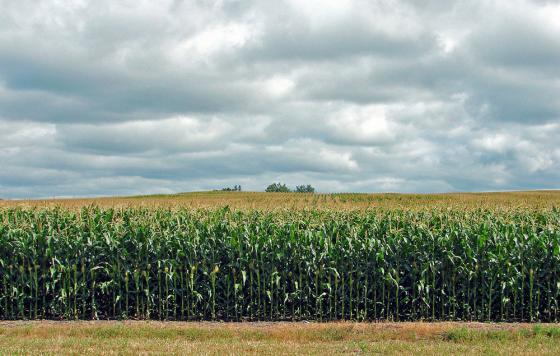 photo: flickr.com/23155134@N06 (CC BY-SA 2.0)