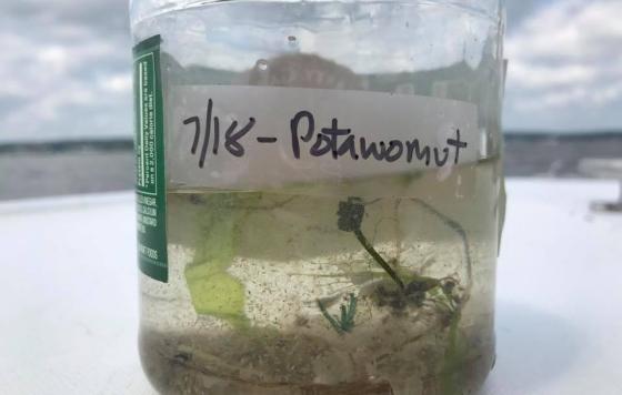 One of our samples from the trash trawl