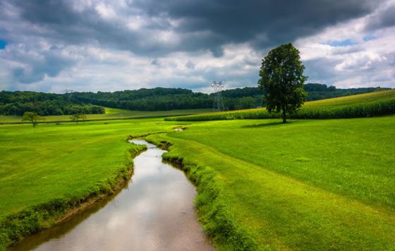 Stream in a green field - Carroll County, MD 