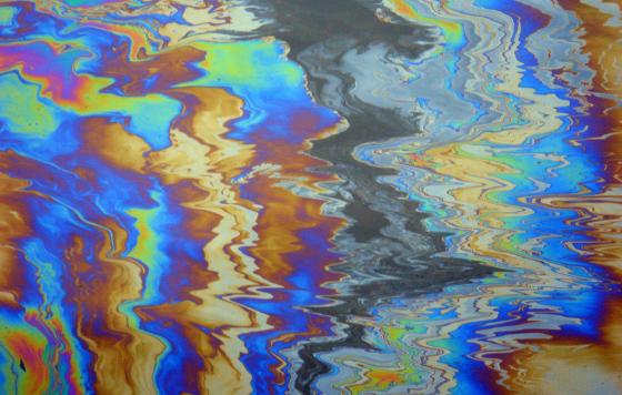 photo: flickr.com/gambier20 (CC BY 2.0)