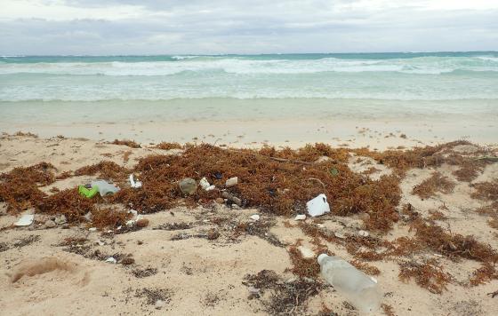 Plastic_Waste_Zero Waste_Rethink Disposable_New Jersey_Photo by Jenny Vickers