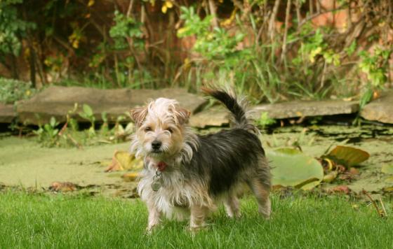 Photo: Beverly Lloyd-Roberts, freeimages.com