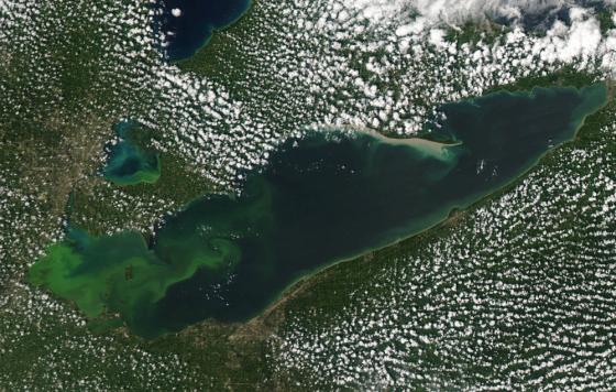 Lake Erie Algal Bloom - August 2015. Photo Credit: NOAA Great Lakes CoastWatch