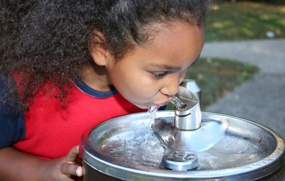 photo: Duplass, shutterstock.com